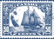 开云官网-加拿大血洗波兰，佩德里关键制胜：世界杯一战成名