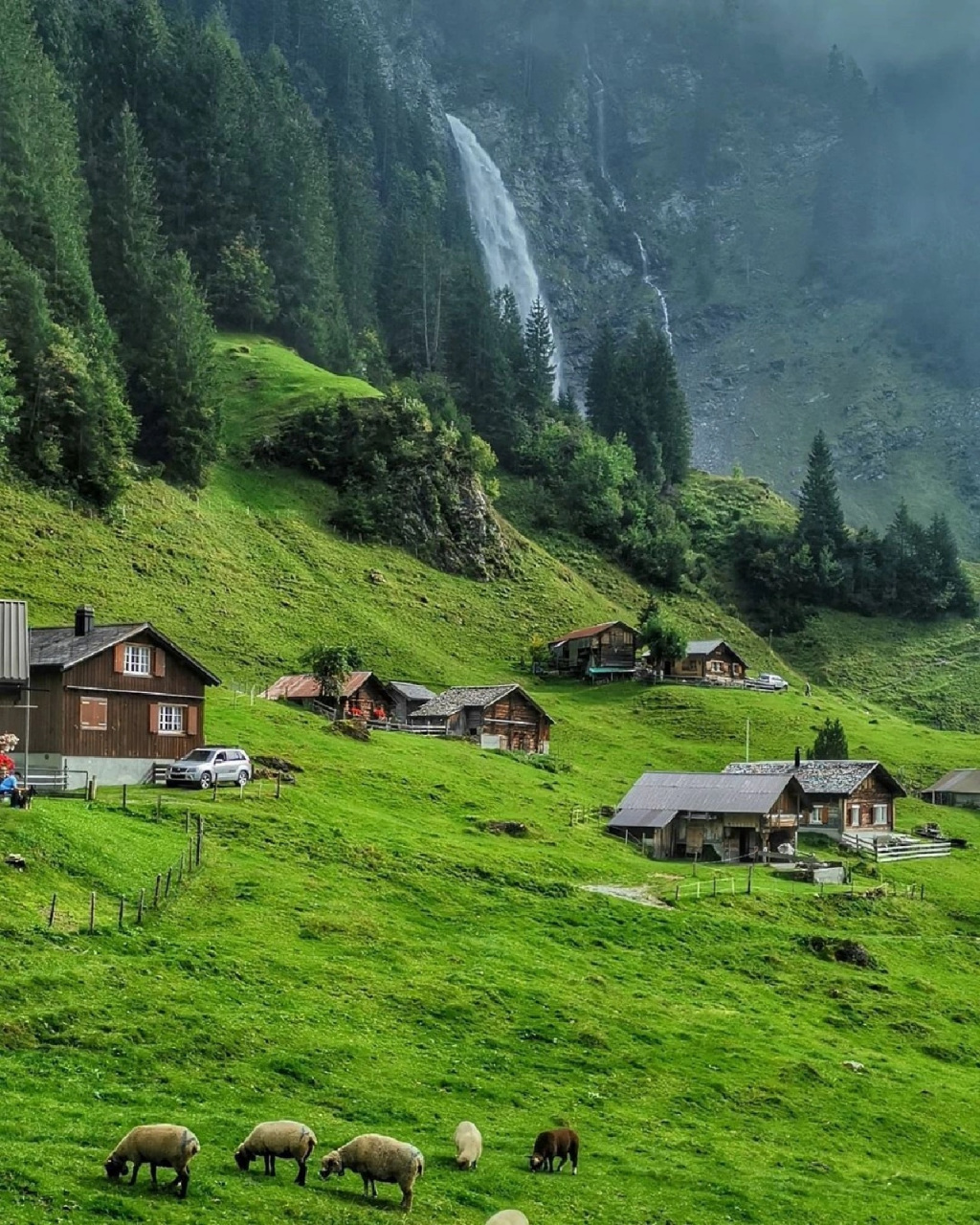 瑞士主场逼平瑞典,晋级之路艰难曲折的简单介绍 瑞士主场逼平瑞典,晋级之路艰难曲折的简单介绍